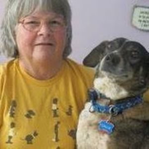 Meet your Posher, Joy